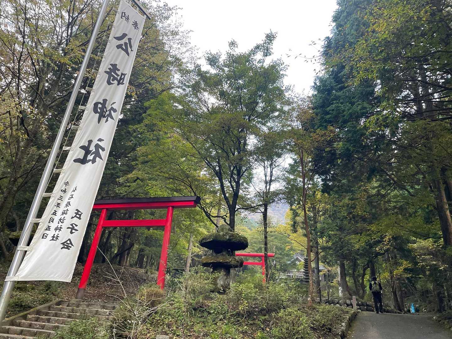 鳥居が並んでいるのがいい感じ