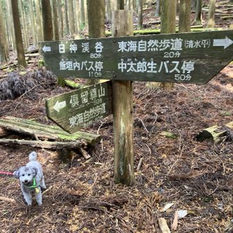 はい、分岐

キミいちいちフレームインしてくるね
わかってるね？