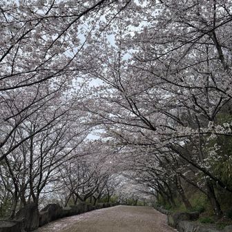 天気が良ければ、それはもう綺麗な景色だったろうに