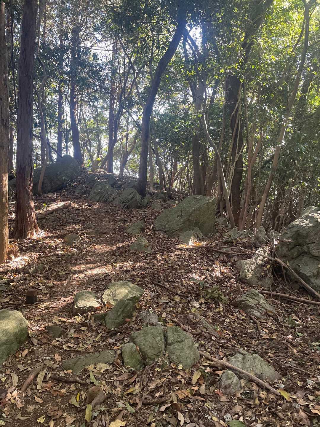 道の駅万葉公園登山口-小富士山-愛宕山 往復コースの写真