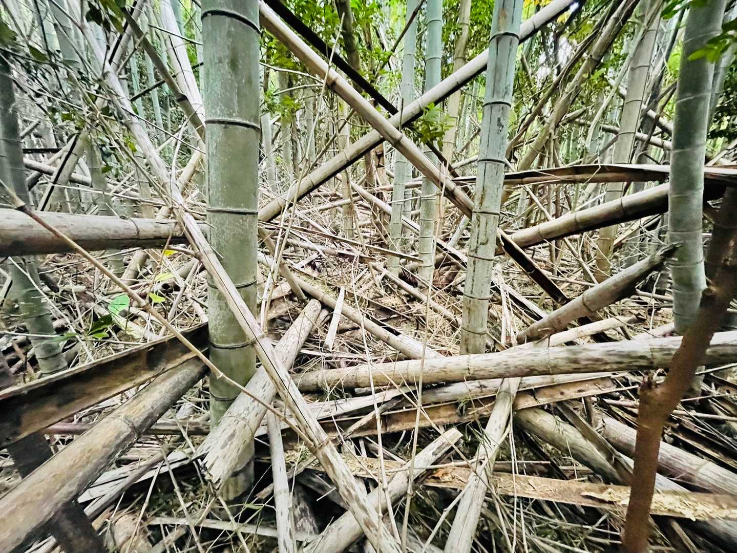 えーー、、
ムリっす     0(:3 _ )～ﾁｰﾝ

前に進めん
怪盗ピークハンターも、お手上げ

