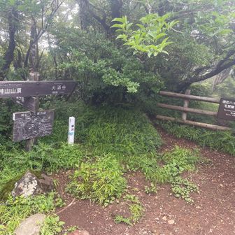 晴れないので神山（かみやま）に行ってみました。
意外と地味でした。
神山自体が箱根神社のご神体らしいです。