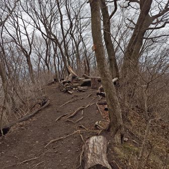 いつもは、野鳥の餌付けで賑わっているお休み石。　誰も居ない。