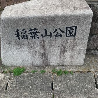 最後のピーク稲葉山の入口到着🚶‍♂️