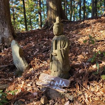 山頂٩(*´︶`*)۶
おつかれ山