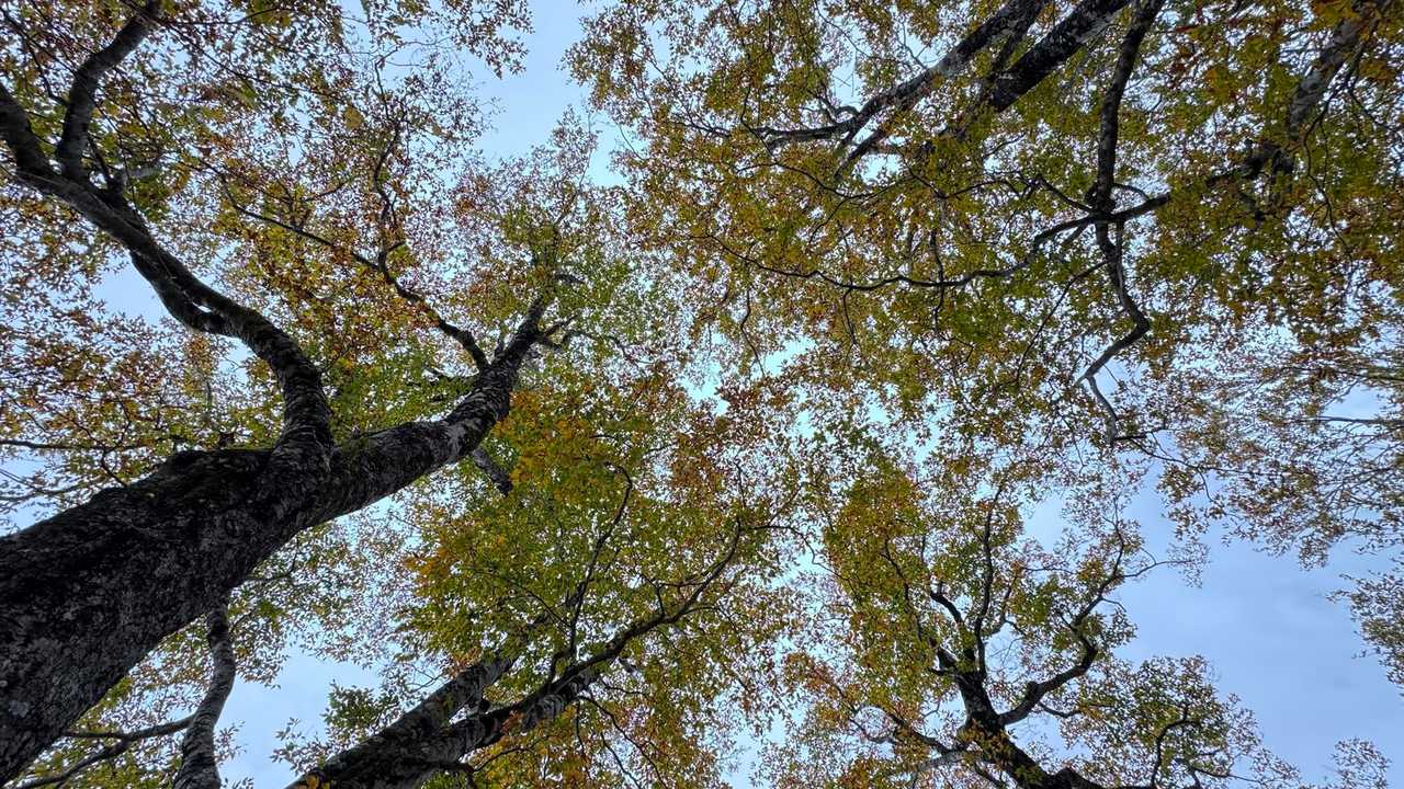 飯豊山、晩秋の稜線テン泊 の写真 55