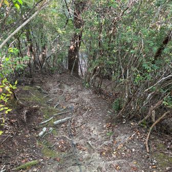 次は雌岳へ。
雄岳からの降りもまた急でこわい。
