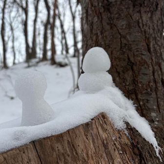プチ雪だるま