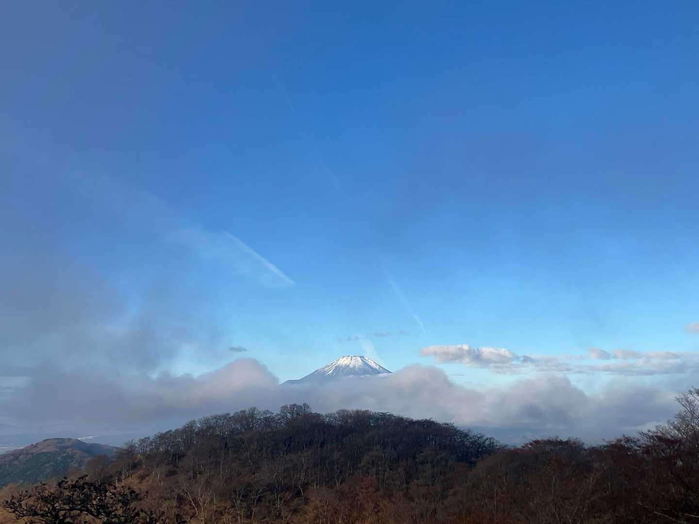 大倉バス停-堀山-塔ノ岳-日高-竜ヶ馬場-丹沢山-小丸-鍋 周回コースの写真