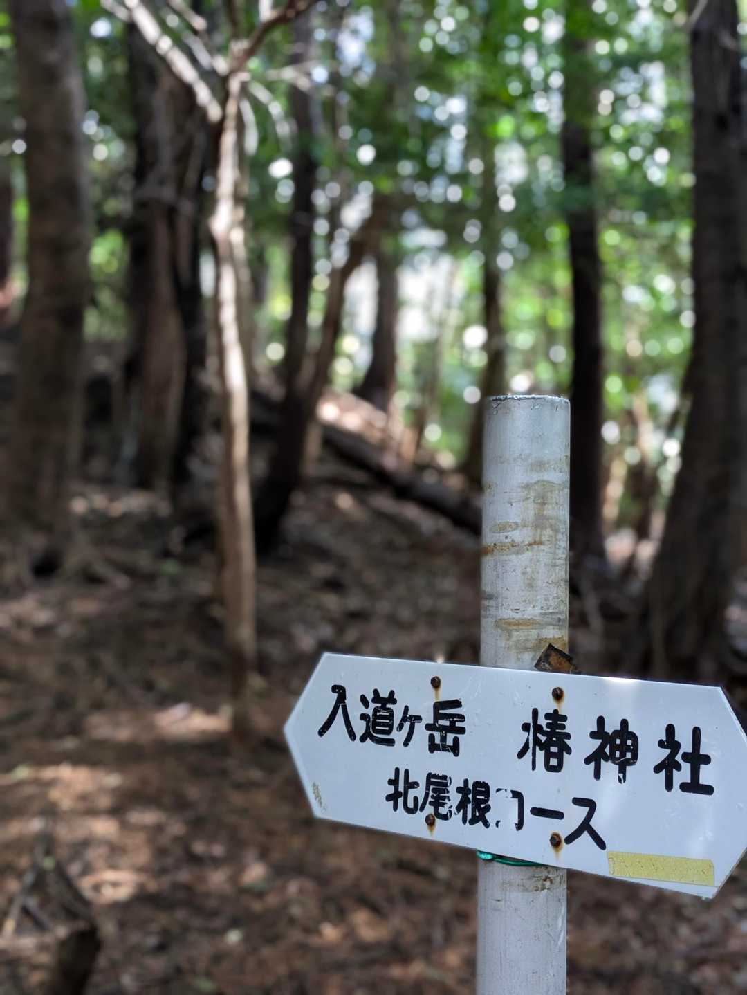 2回目はなんとか登れたんだけど降りてきたら陽が暮れてて、こどもと共に、あわや遭難？！って感じだった…
