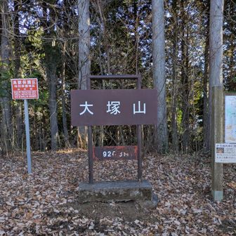 登頂。歩きやすい気持ち良い山です。