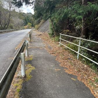 車道の反対側に登山口、登山道に入っていきます