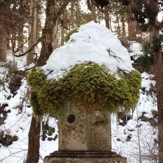 まるで練乳を乗せた抹茶氷！