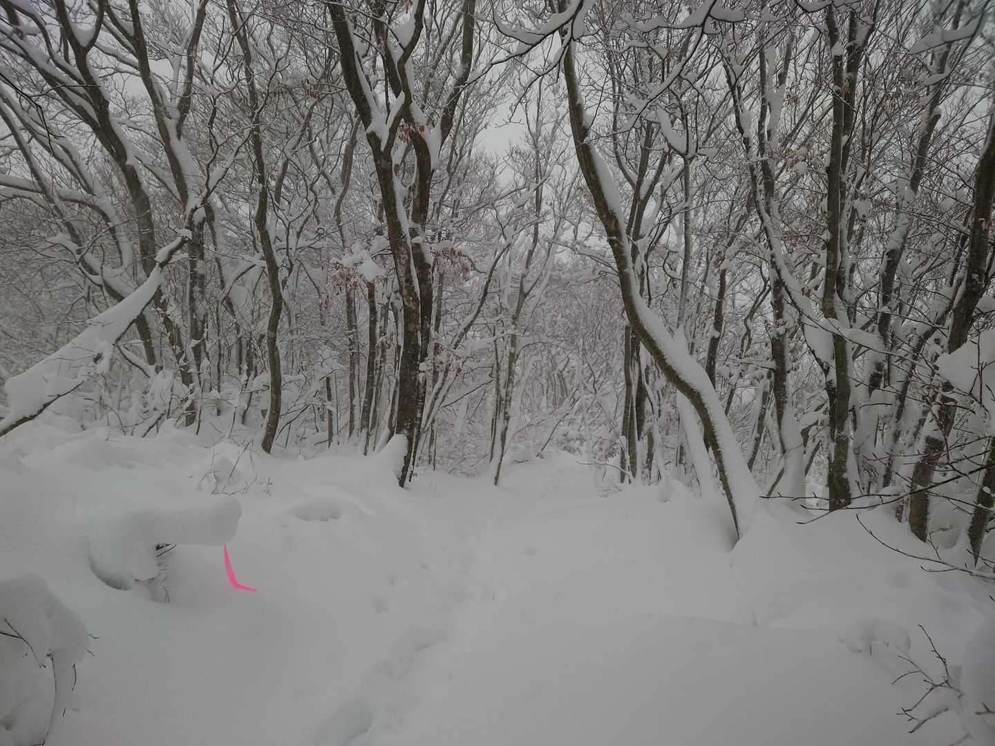 下山中。雪が降り続いていて、登ってきた自身のトレースが埋まり始めていて、すごく心細くなります。ゴールした時は、マジで生還したって感じでした。