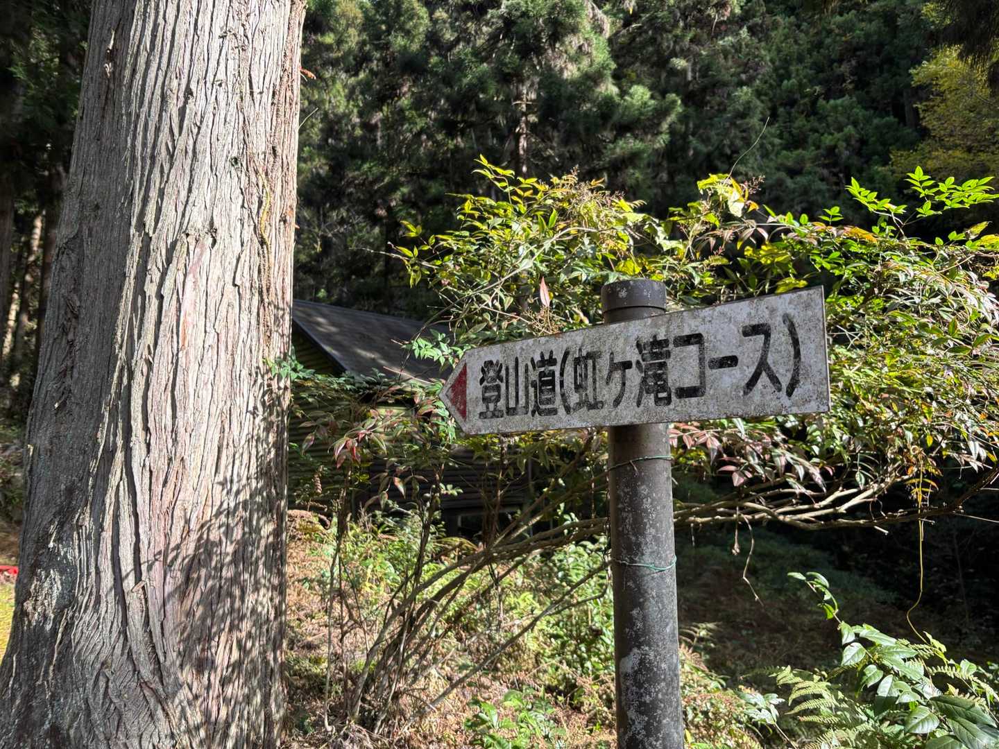 虹ケ滝🌈コースから
逆周りのほうが難易度は下がるそう😊