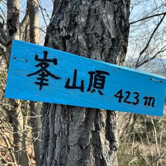 峯山（標高423m）に到着です❗️