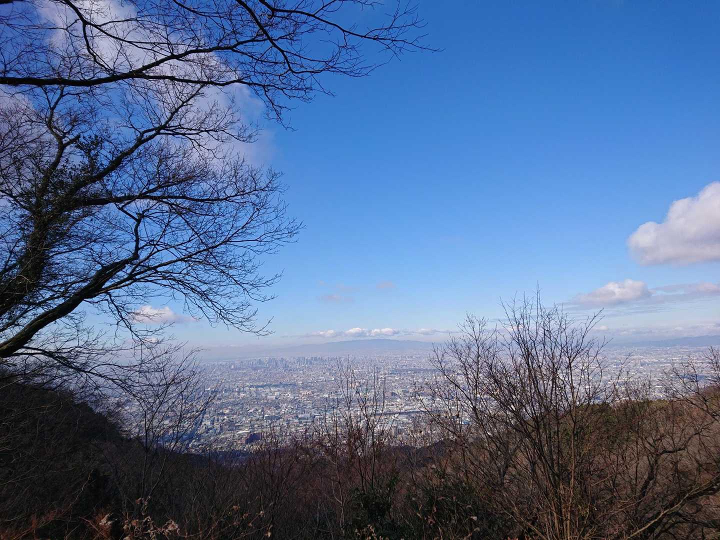 ナイス景色！