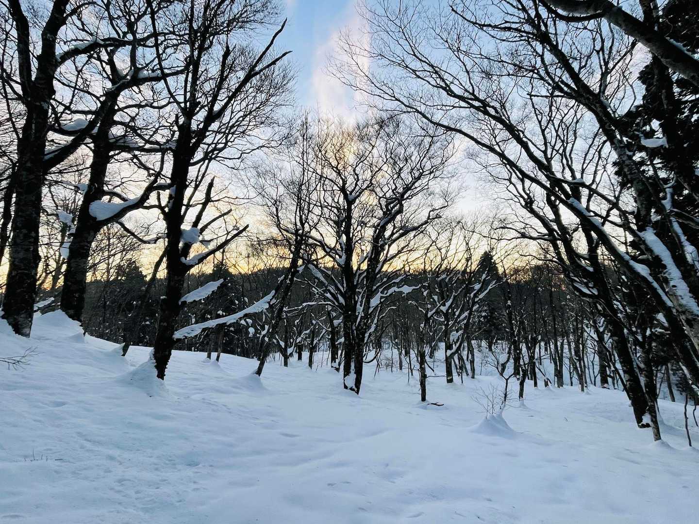 残念ながら霧氷は無し😭
それでもこの天気、青空と展望は期待できる✨