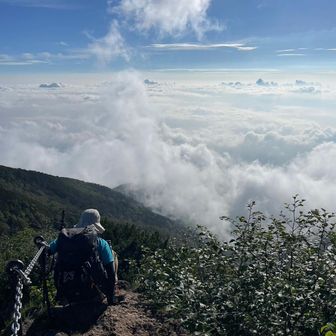 🐕️パムポコ🐕️