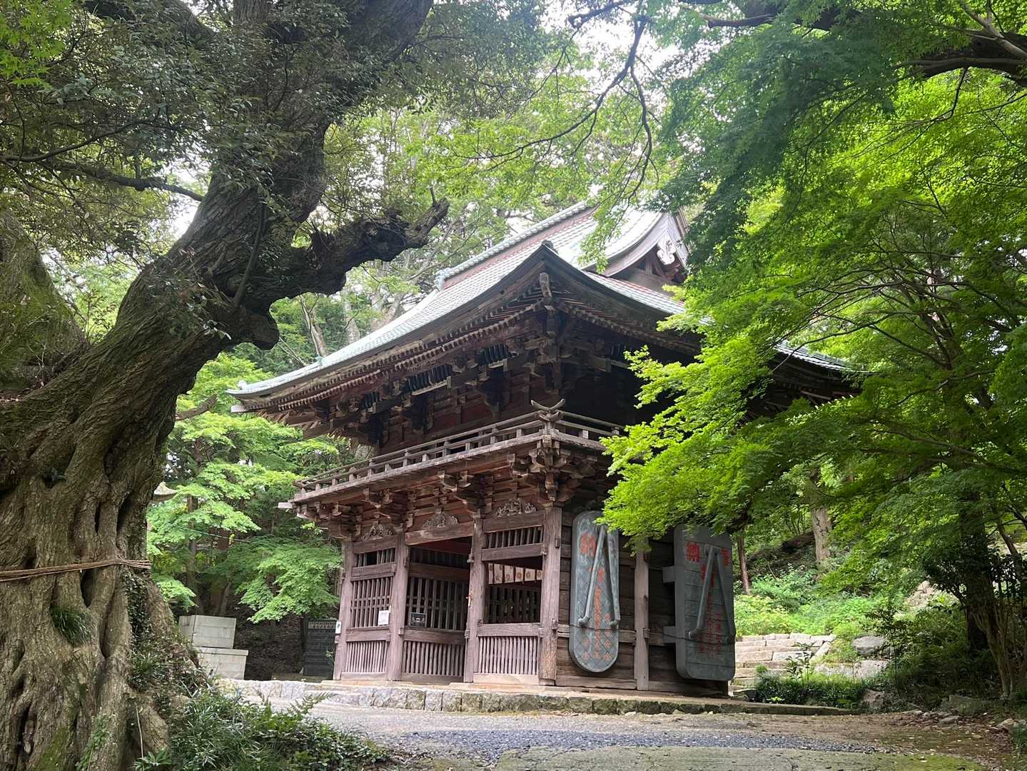 薬王院コース入口-筑波山-筑波山頂駅-深峰歩道登山口 往復コースの写真