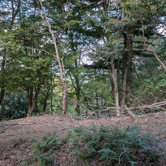樋ノ水峠