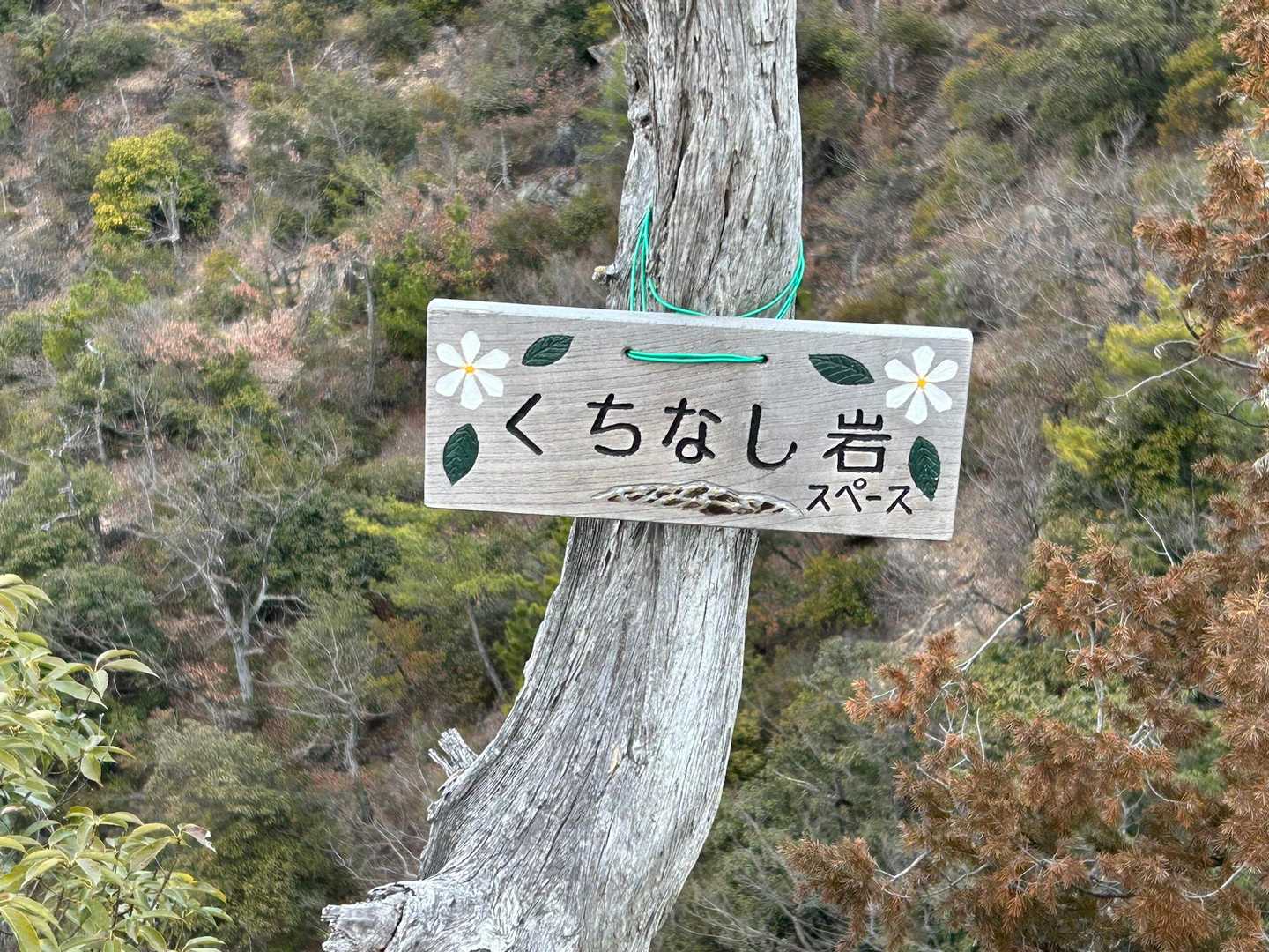 くちなし岩に初めてきた😄