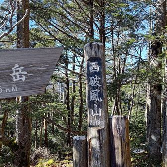 甲武信小屋以降は風が無く太陽も昇って寒さとは無縁の快適な山行でした。登りはだいぶしんどいです。見かけはあと少しのように見えるのに、越えるとまた似たような登りが顔を出す。これが延々続きます。