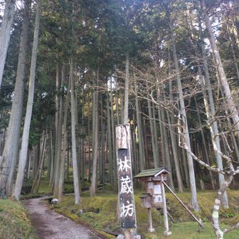 苔むした素敵なとこでした✨️