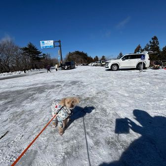 無事に下山🙏

ワンコ連れの方も多く、ソリ🛷遊びのちびっ子達で賑わってました😊