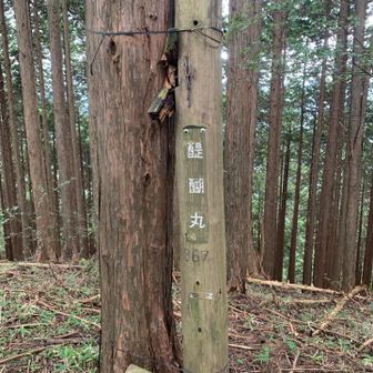 醍醐丸🪧
なんだか見覚えがあると思ったら、2月ごろにも来ていました。

ここで、朝の電車で一緒だった外国の方と少しお話ししました。
今日はどこまで行くのか、ハセツネCUPに出るのかなど。