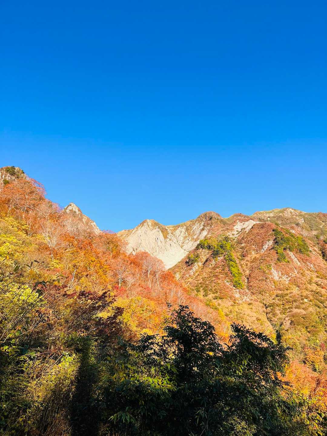 ガイドツアーで行く紅葉の雨飾山🍁 / Kbirdの登山データ | YAMAP / ヤマップ
