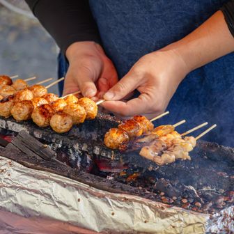 お祭りだったらしく出店が並んでいたので、焼き鳥を食べて