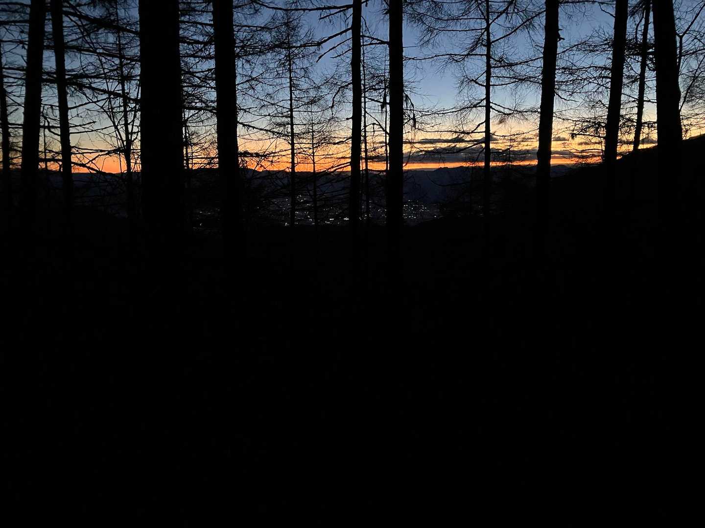 夜叉神峠登山口-夜叉神峠-杖立峠-苺平-辻山 往復コースの写真