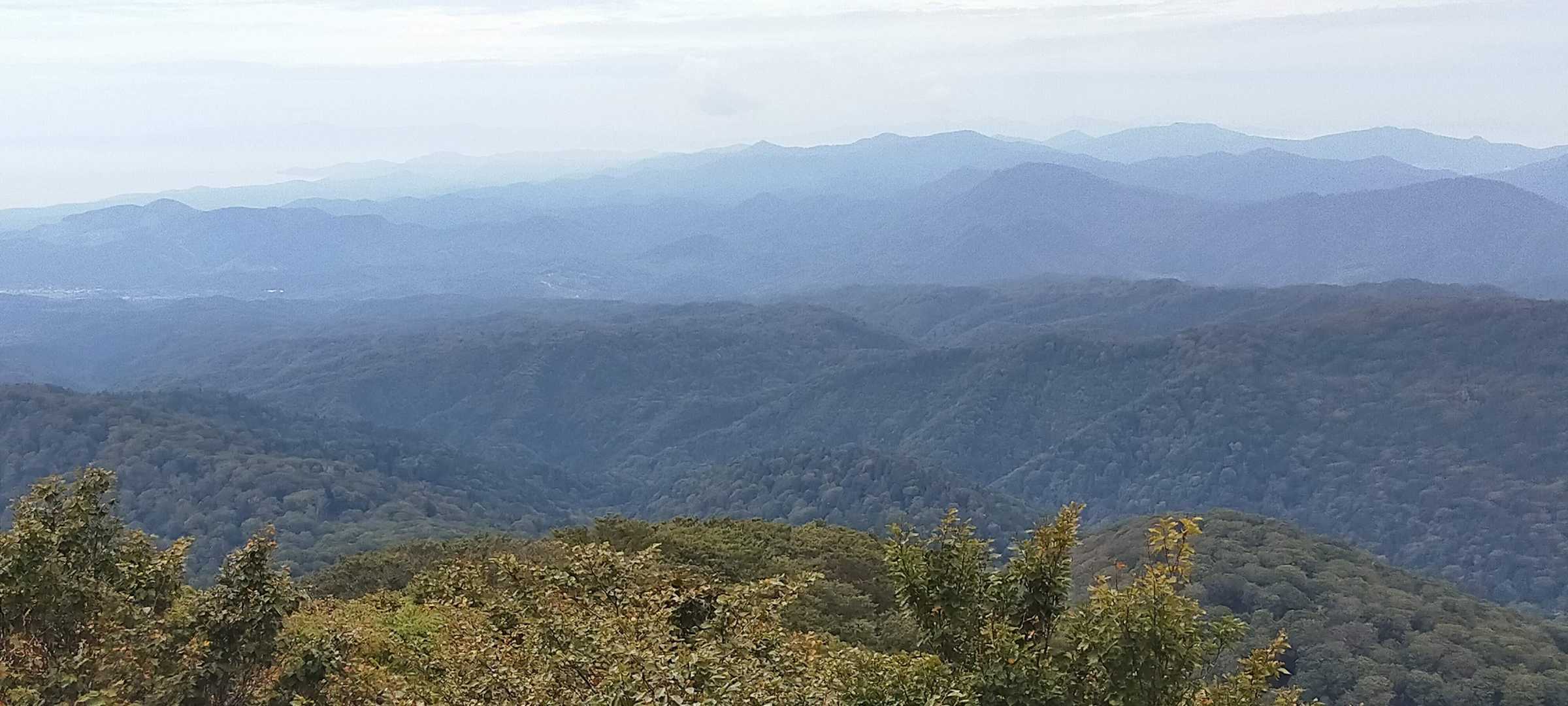 写真が下手すぎて素晴らしさが全く伝わらない笑