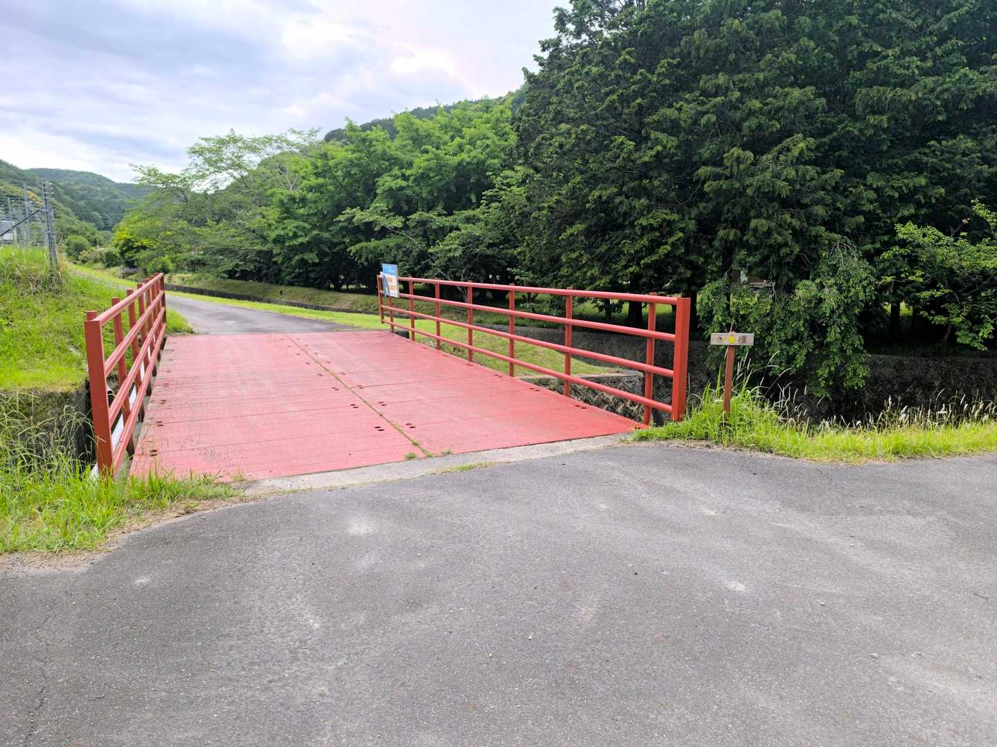 この川のあたりにホタル現るのかな？
