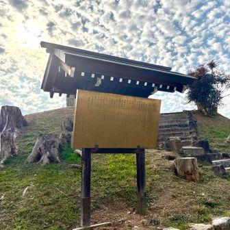 帝塚山古墳、ちょうど見学会の日だったみたいで入口にいた方に声をかけてちょっとだけですが中に入りました🙇‍♀️