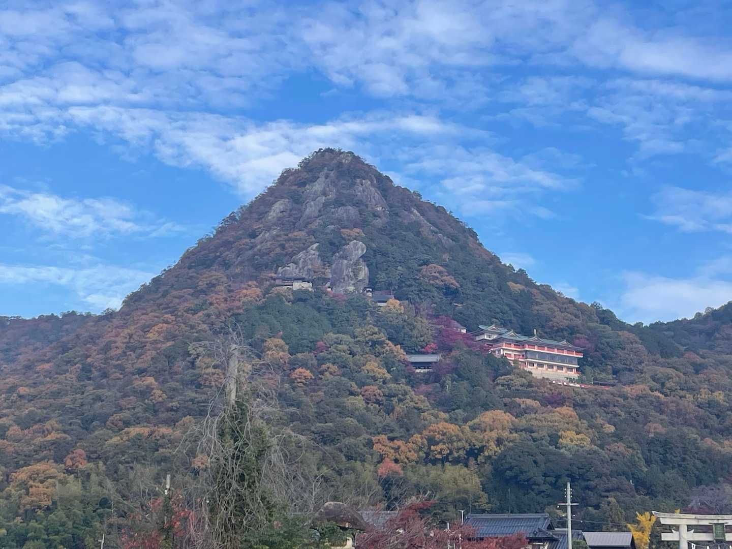 とんがってるー
