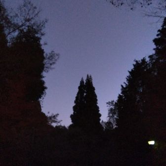 それでは〜次回も見てくださいね！
うわっぐっくん🤭
