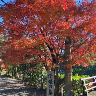 清姫さんの墓所