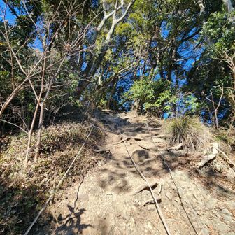 三浦富士手前の、すべるロープ場⚠️