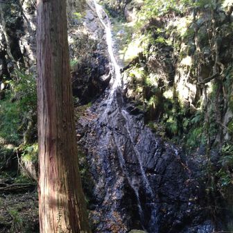二天…宮本武蔵ですなぁ
