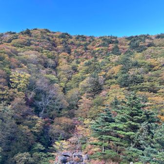 いい山歩きでした🍁