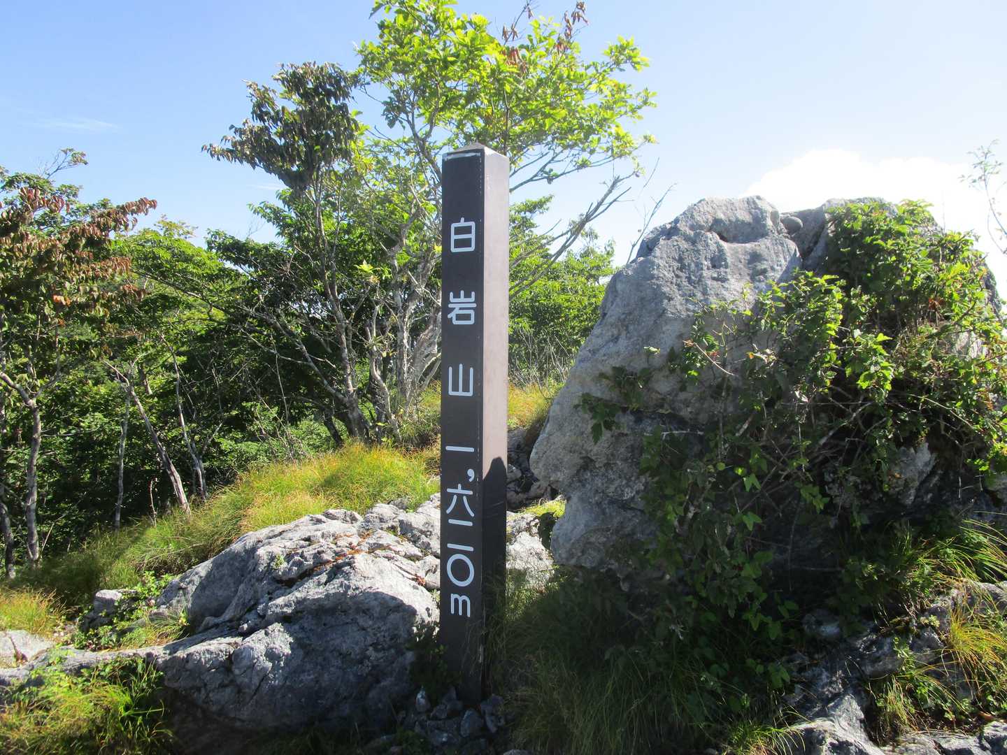 ゴボウ畠登山口-白岩峠-白岩山-向坂山 周回コースの写真