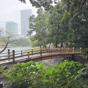 橋を渡り