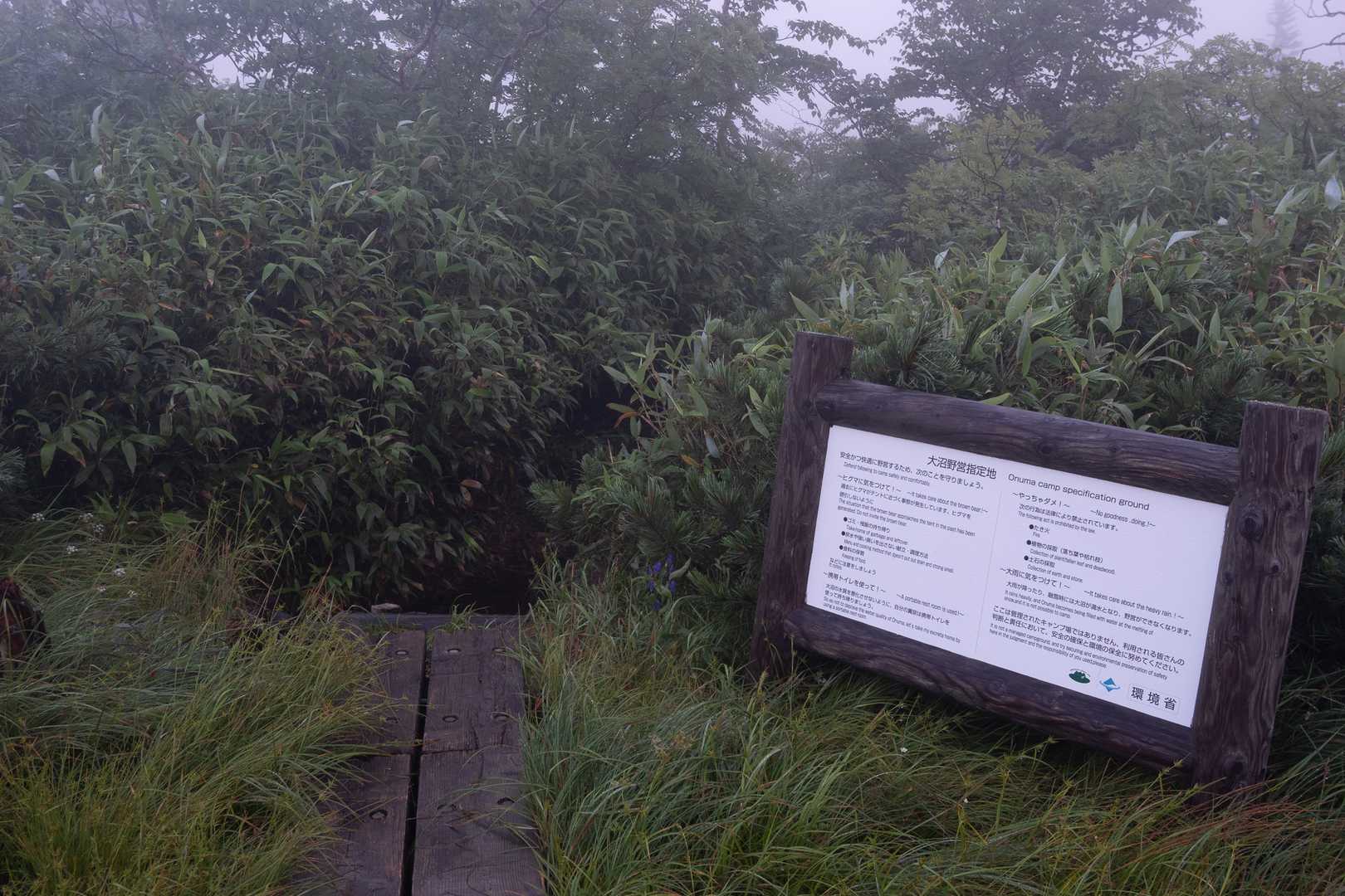 大沼の淵を通るつもりが大沼は満水