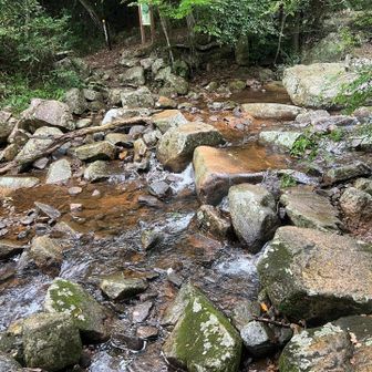 雨が降ってきた、濡れてると真ん中の斜めのが、見た目と違って滑らないけどね