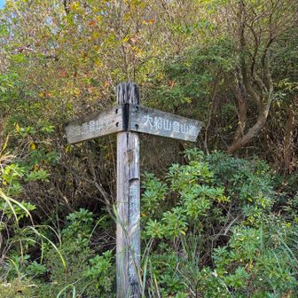 さて、ここから長い登りが始まる…。