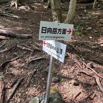 正面登山口へGO🚶‍♀️