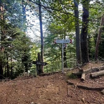 稜線まで登って分岐です
まずは左に進みすぐの大同山へピーク踏んできます
ピーク踏んだらここに戻って百蔵山に向かいます

本日のピークハントは7座です