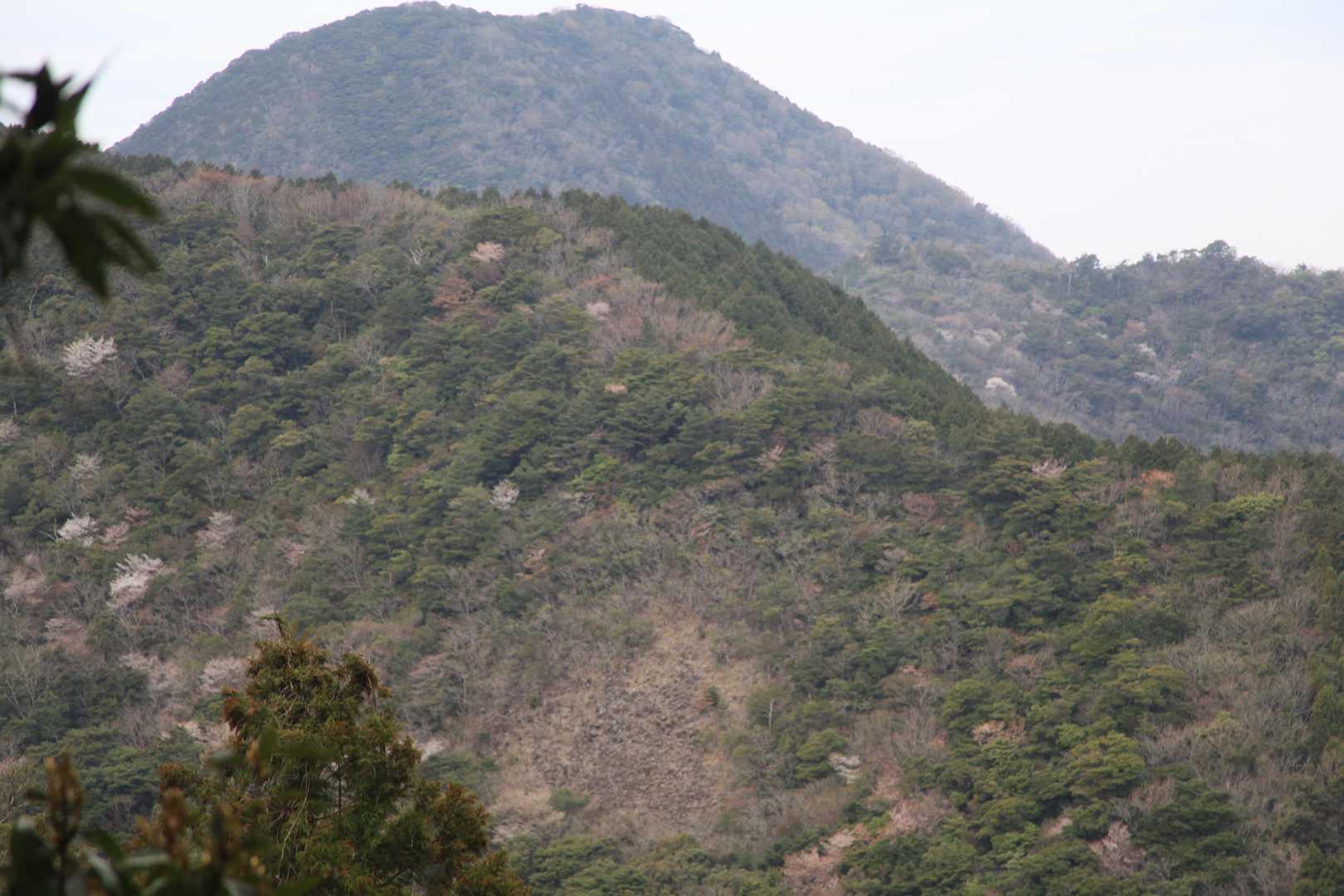 谷山-石山 縦走コースの写真